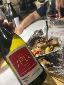 Oenops Winery Aplà Red 2022