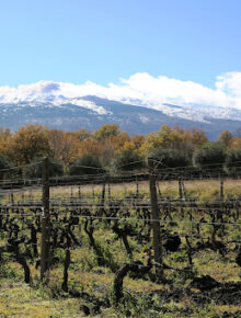 Venerdi 18 Etna vs Barolo in Trattoria! Borgogno vs Carranco